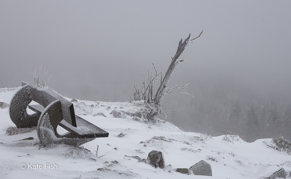Mystische Atmosphäre mit einer Holzbank mit Reif überzogen mit Blick auf Nadelwald, der im Schneesturm nur nebelhaft zu erkennen ist. Beispiel für Wetter im Fotografie Kurs - schöne Winterbilder vor der Haustür