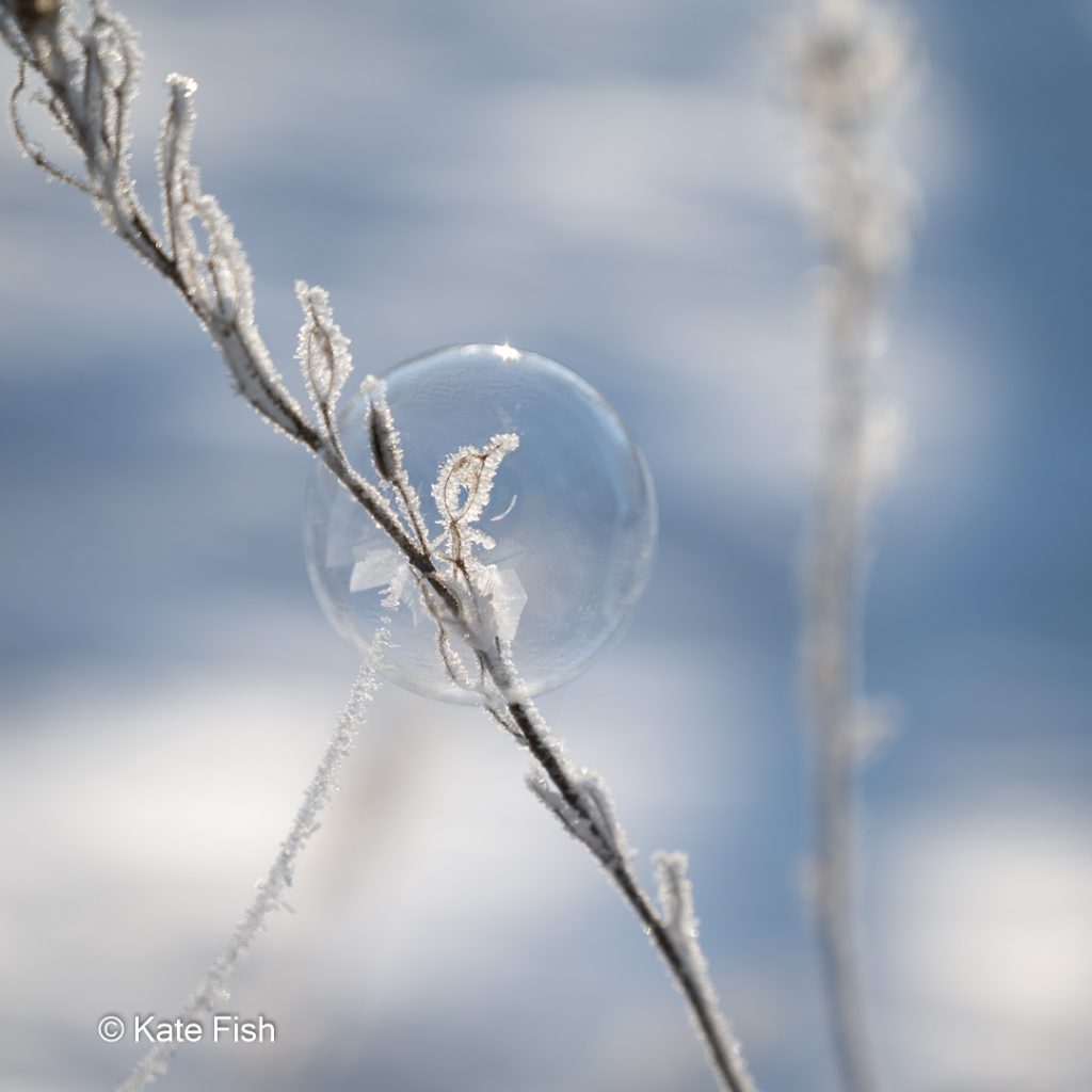 Gefrorene Seifenblase am Anfang des Gefrierens. an frostigem Zweig und Spinnnetz mit Frostkristallen vor einem hellblauen Himmel