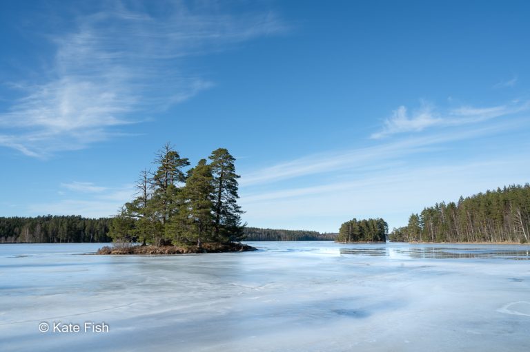 Seen inmitten von Kiefernwäldern sind meine Nr.4 der Fotolocations in Schweden. Hier eisbedeckt mit kleiner kiefernbewachsener Insel bei wunderschönem blauen Himmel