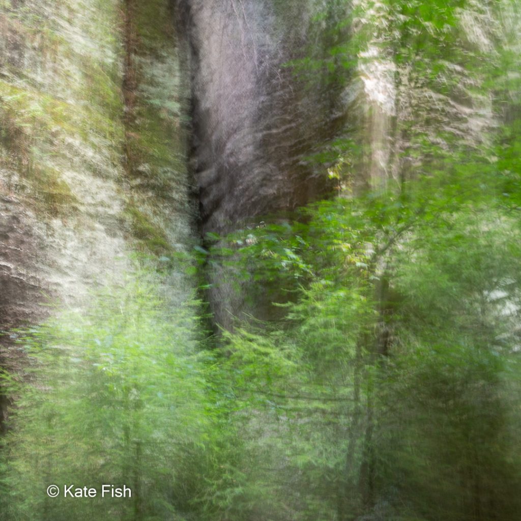 Ein ICM (intentional camera movement) Bild von Bäumen vor Felsen im Elbsandsteingebirge