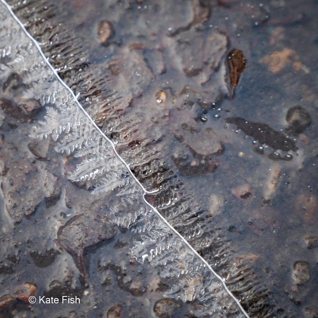 Nahaufnahmen im Winter von bizarren Eisstrukturen auf nassem Boden