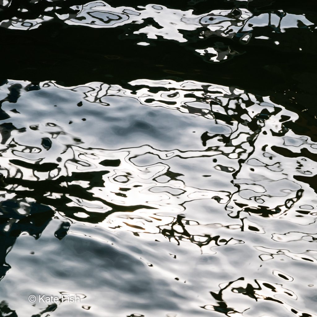 Wasserspiegelung als Beispiel für Strukturen und Muster fotografieren