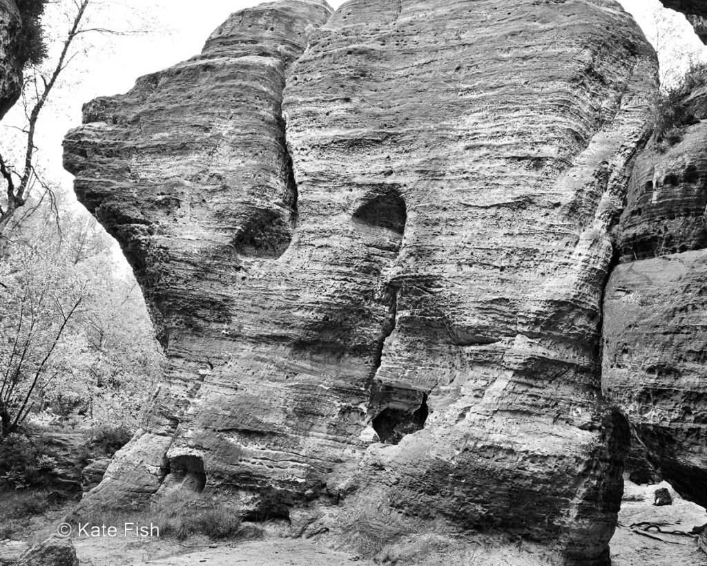 Felsengesicht in den Tyssaer Wänden am einzigen Tag mit ziemlich hässlichen Nieselregen auf einer Fotowanderreise im Elbsandsteingebirge als Beispiel für Fotos bei Regen entstanden