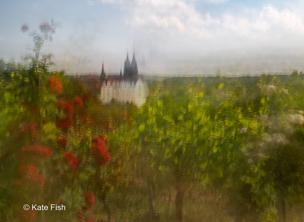 ICM Fotos haben oft ein malerisches aussehen, wie hier Weinberg mit Rosen vor der Albrechtsburg zu Meissen