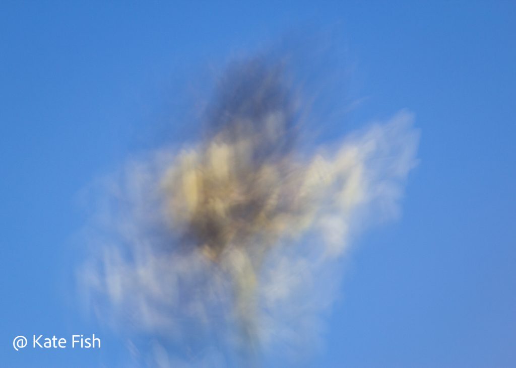 ICM einer Spitzwegerichblüte mit blauem Himmel als Möglichkeit durch Blauen Himmel fotografieren eine besonders sommerliche Atmosphäre zu bekommen.