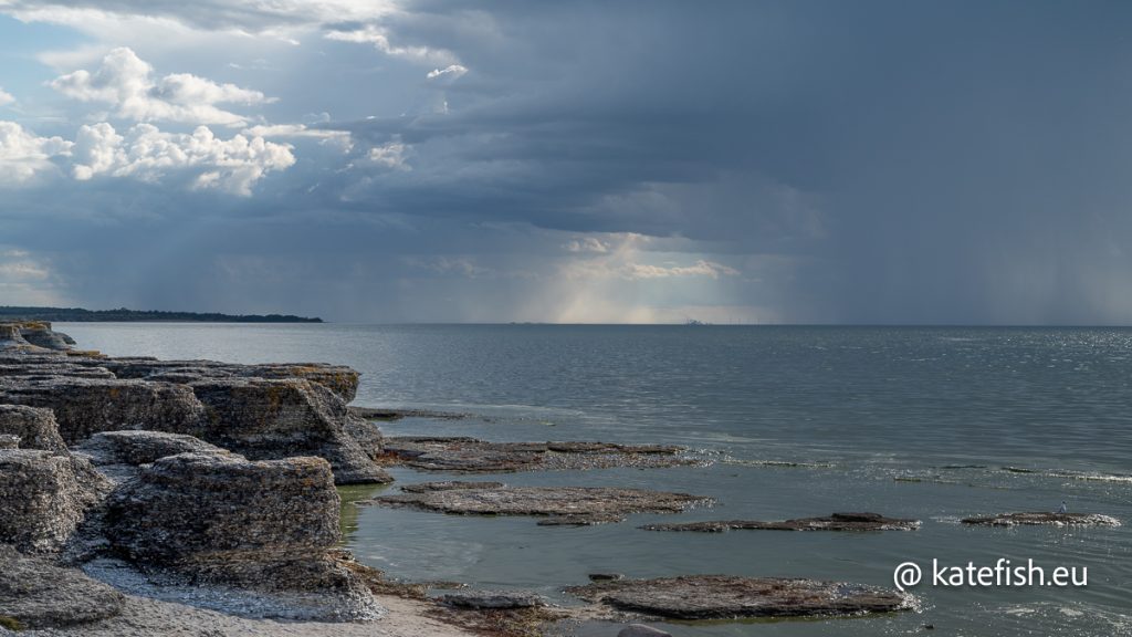 Landschaft fotografieren auf Öland - Byrums Rauka seitlich, um sie als Küstenfelsen zu zeigen.